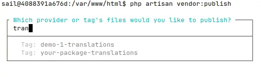 vendor-publish-package-translation-suggestion.webp